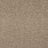 Abingdon Seduction Carpet Exen Flooring