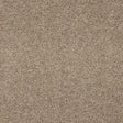 Abingdon Seduction Carpet Exen Flooring