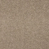 Abingdon Seduction Carpet Exen Flooring