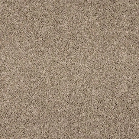 Abingdon Seduction Carpet Exen Flooring