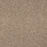 Abingdon Seduction Carpet Exen Flooring