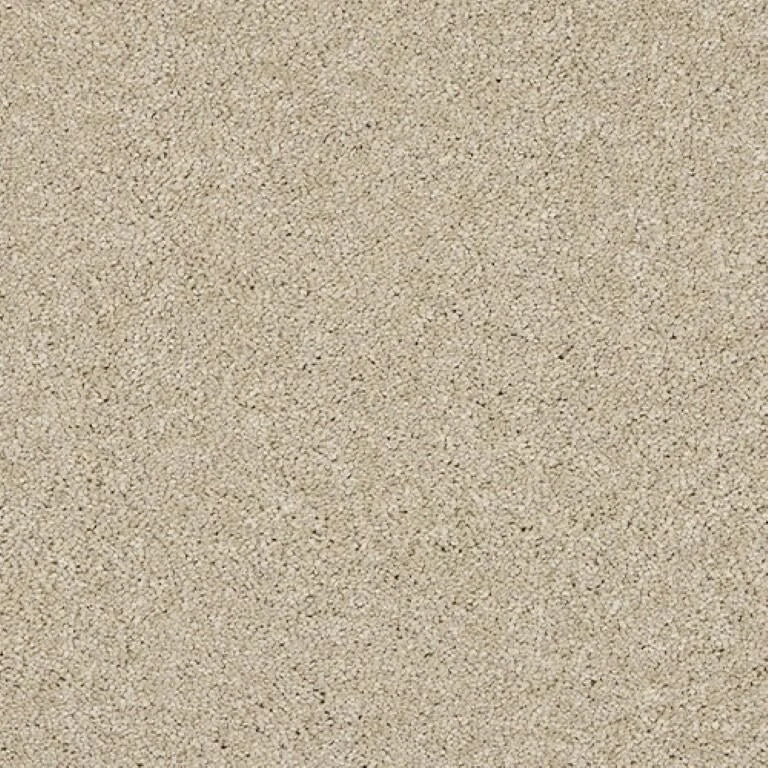 Abingdon Seduction Carpet Exen Flooring