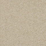 Abingdon Seduction Carpet Exen Flooring