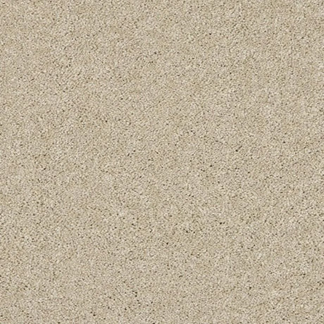 Abingdon Seduction Carpet Exen Flooring