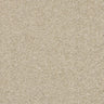 Abingdon Seduction Carpet Exen Flooring