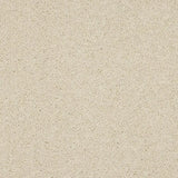 Abingdon Seduction Carpet Exen Flooring