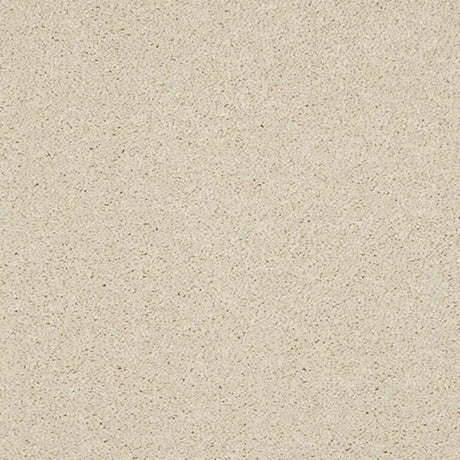 Abingdon Seduction Carpet Exen Flooring