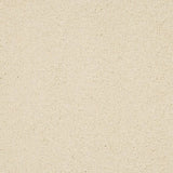 Abingdon Seduction Carpet Exen Flooring