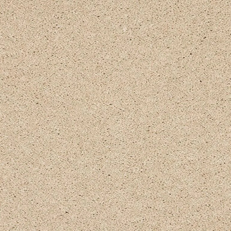 Abingdon Seduction Carpet Exen Flooring