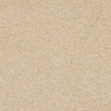 Abingdon Seduction Carpet Exen Flooring