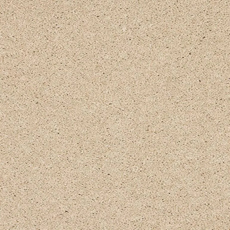 Abingdon Seduction Carpet Exen Flooring