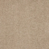 Abingdon Seduction Carpet Exen Flooring