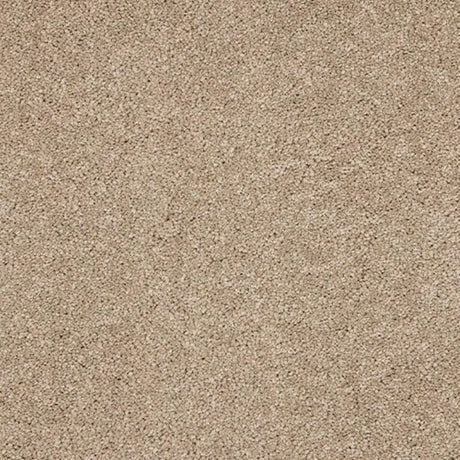Abingdon Seduction Carpet Exen Flooring
