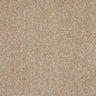 Abingdon Seduction Carpet Exen Flooring