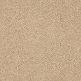 Abingdon Seduction Carpet Exen Flooring