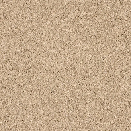 Abingdon Seduction Carpet Exen Flooring