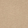 Abingdon Seduction Carpet Exen Flooring