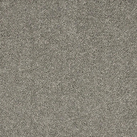 Abingdon Seduction Carpet Exen Flooring