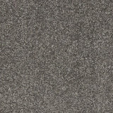 Abingdon Seduction Carpet Exen Flooring