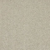 Abingdon Seduction Carpet Exen Flooring