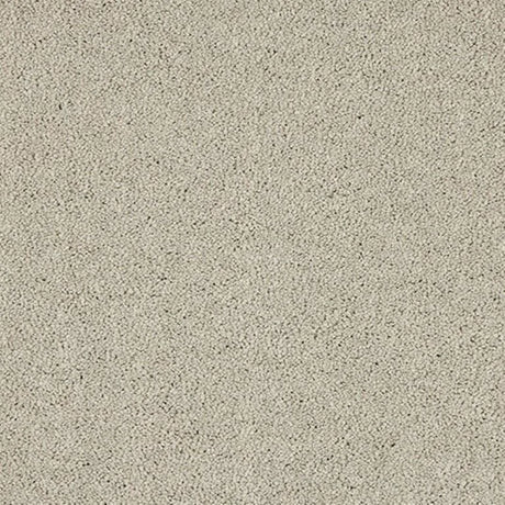 Abingdon Seduction Carpet Exen Flooring