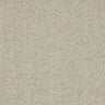Abingdon Seduction Carpet Exen Flooring