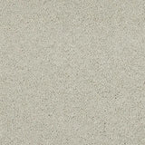 Abingdon Seduction Carpet Exen Flooring