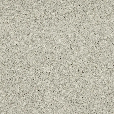 Abingdon Seduction Carpet Exen Flooring