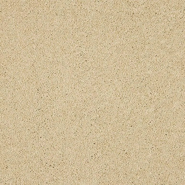 Abingdon Seduction Carpet Exen Flooring