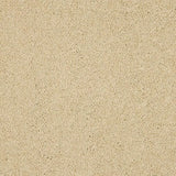 Abingdon Seduction Carpet Exen Flooring