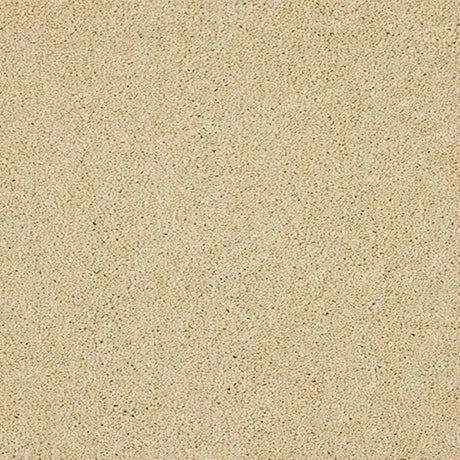 Abingdon Seduction Carpet Exen Flooring