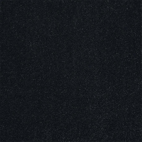 Abingdon Stainfree Captivation Carpet Exen Flooring