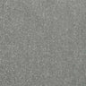 Abingdon Stainfree Captivation Carpet Exen Flooring