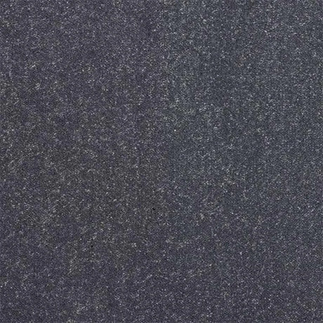 Abingdon Stainfree Captivation Carpet Exen Flooring
