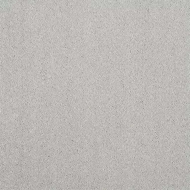 Abingdon Stainfree Captivation Carpet Exen Flooring