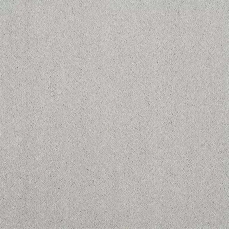 Abingdon Stainfree Captivation Carpet Exen Flooring