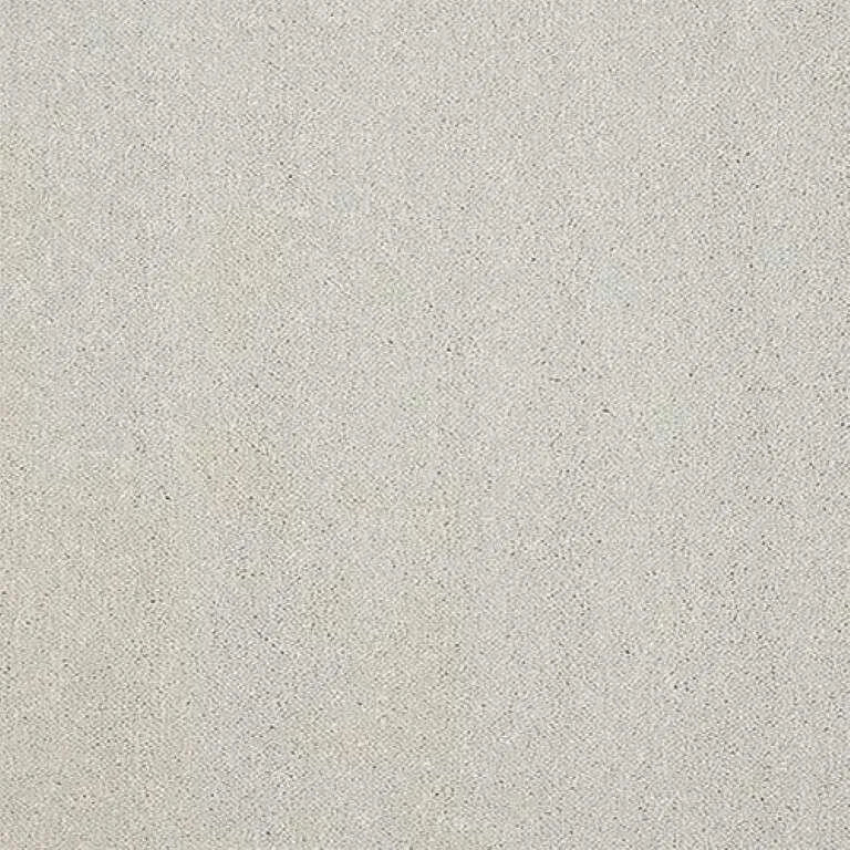 Abingdon Stainfree Captivation Carpet Exen Flooring