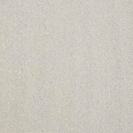 Abingdon Stainfree Captivation Carpet Exen Flooring