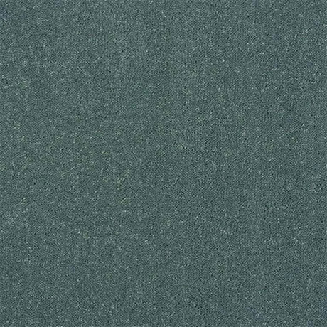 Abingdon Stainfree Captivation Carpet Exen Flooring