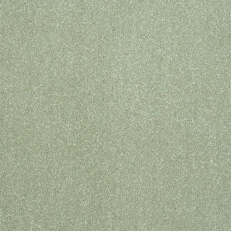Abingdon Stainfree Captivation Carpet Exen Flooring