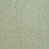 Abingdon Stainfree Captivation Carpet Exen Flooring