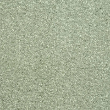 Abingdon Stainfree Captivation Carpet Exen Flooring