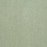 Abingdon Stainfree Captivation Carpet Exen Flooring