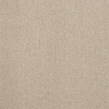 Abingdon Stainfree Captivation Carpet Exen Flooring