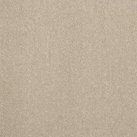 Abingdon Stainfree Captivation Carpet Exen Flooring