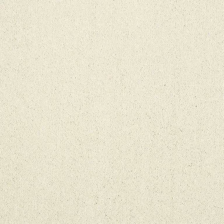Abingdon Stainfree Captivation Carpet Exen Flooring