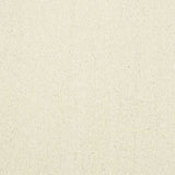 Abingdon Stainfree Captivation Carpet Exen Flooring