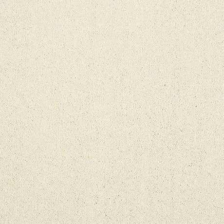 Abingdon Stainfree Captivation Carpet Exen Flooring