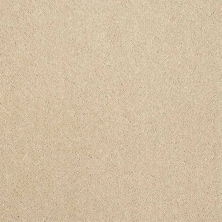 Abingdon Stainfree Captivation Carpet Exen Flooring