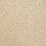 Abingdon Stainfree Captivation Carpet Exen Flooring